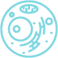 hcp-icon-blue HCP