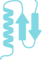 stds-icon-blue Organisms used for expression of protein